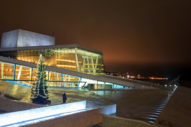 Oslo opera binası Norveç