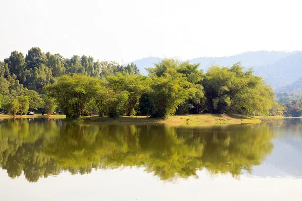 Lake garden — Stock Photo, Image