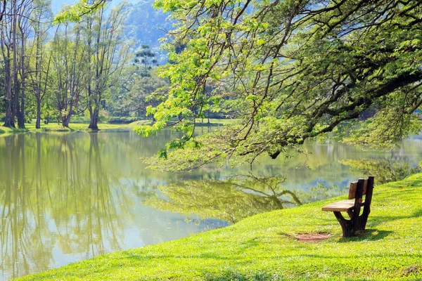 Lake garden — Stock Photo, Image