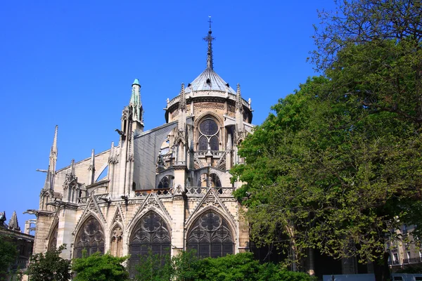 Kathedraal notre dame — Stockfoto