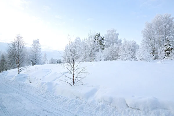 Paesaggio invernale — Foto Stock