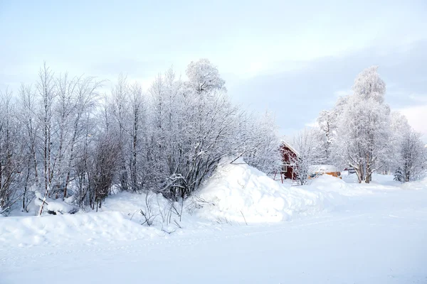 Paisaje invierno — Foto de Stock