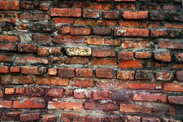 Latar belakang dinding bata — Stok Foto