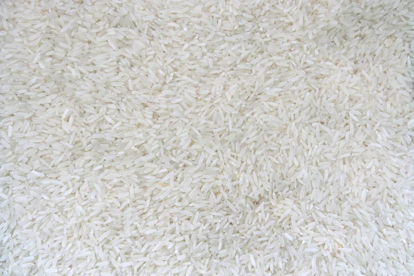 Thai white jasmine rice — Stock Photo, Image