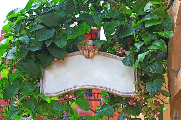 Znak pusty płyta z Amor i drzewa w stylu włoskim — Zdjęcie stockowe
