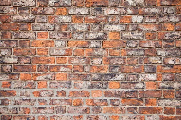 Grunge bakstenen muur — Stockfoto