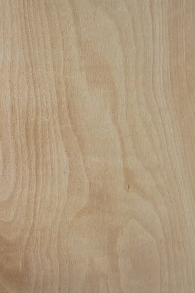 Modello di legno — Foto Stock