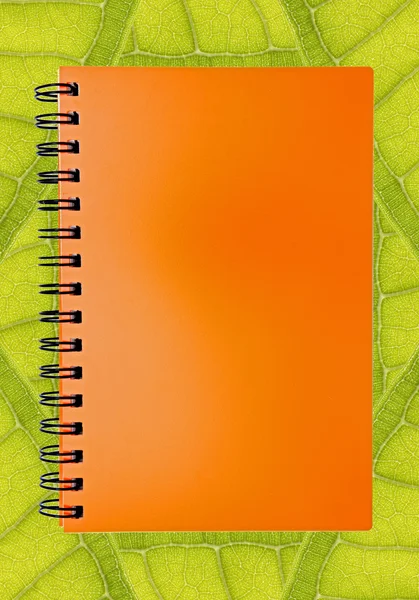 Livro laranja em branco no fundo da folha — Fotografia de Stock