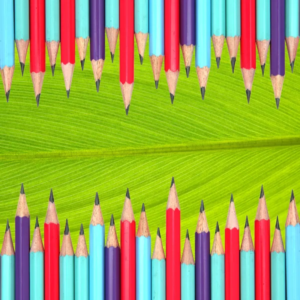 彩色铅笔架在叶背景 — 图库照片