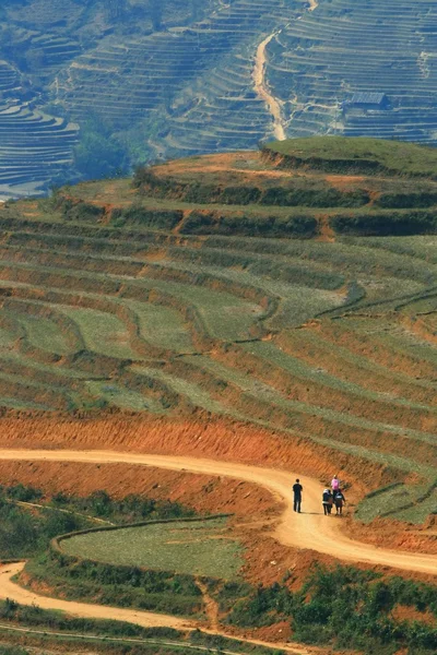 Кривая грязная дорога в Сапе с заросшим рисовым полем — стоковое фото
