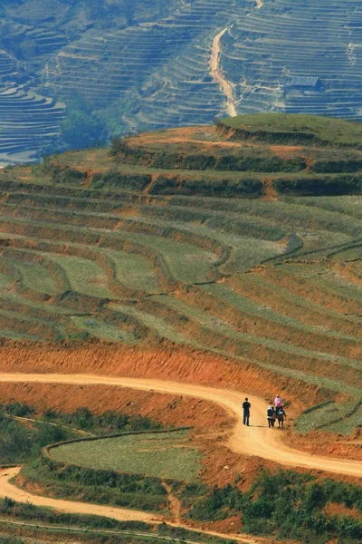 Kromme Zandweg in sapa met en peddel rijst veld — Stockfoto