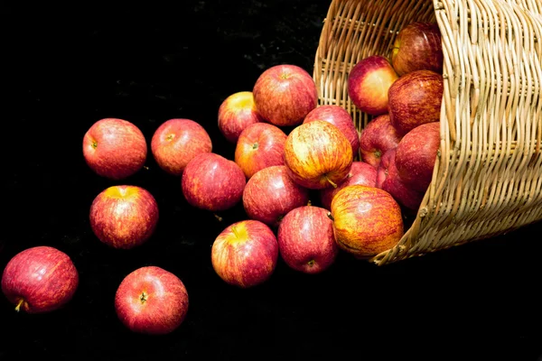 Fresh harvest of apples in basket — Stock Photo, Image