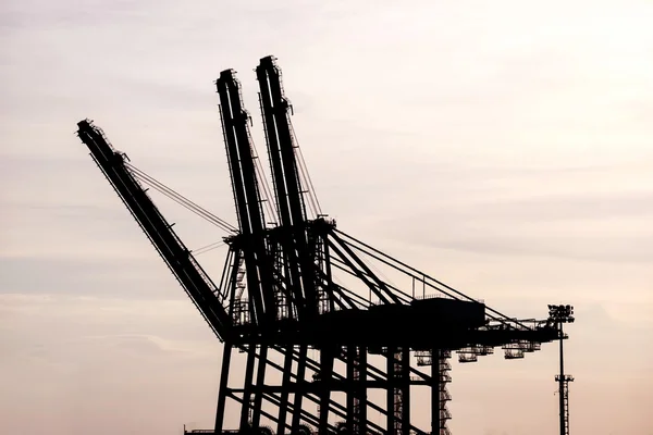 silhouette of Cargo crane