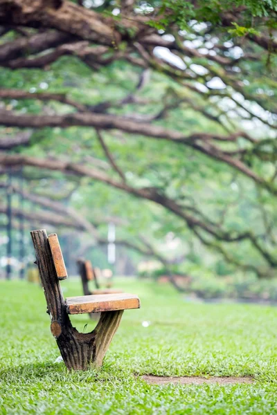 Giardino del lago a taiping malesia — Foto Stock