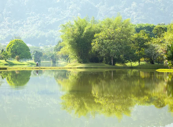 湖花园 — 图库照片