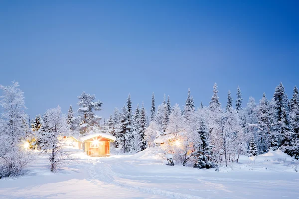 Winter landschap nacht — Stockfoto