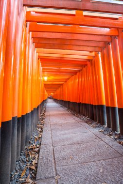 Torii kapılarında fushimi Inari kyoto
