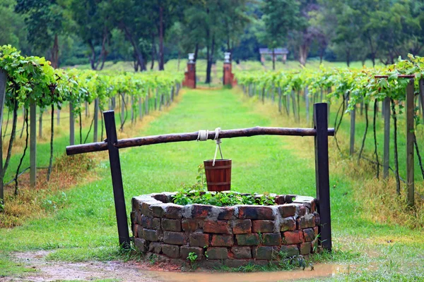 Acqua vintage pozzo — Foto Stock