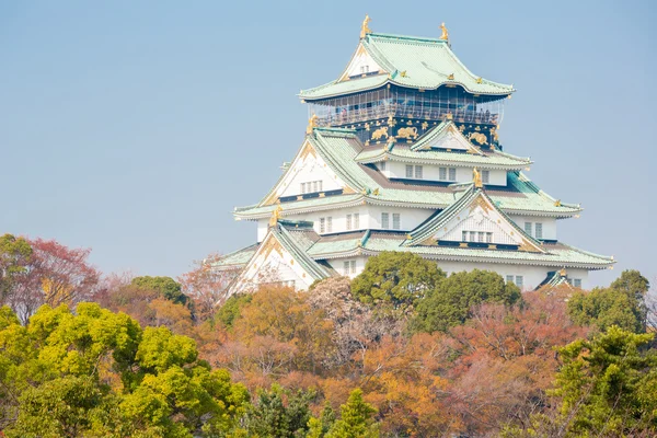 Osaka Kalesi Japonya — Stok fotoğraf