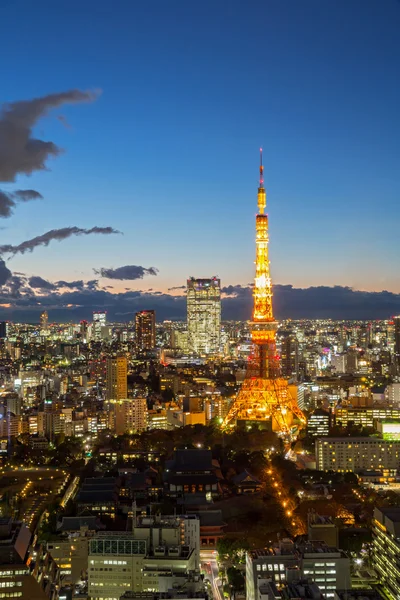 Tokyo tower panoráma Japonsko — Stock fotografie