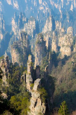 Zhangjiajie national forest park Çin