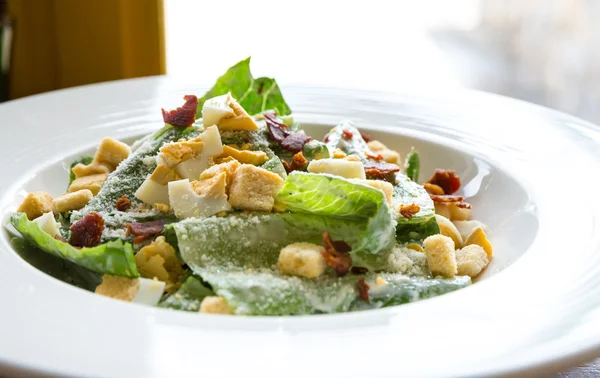 Ceasarsallad — Stockfoto