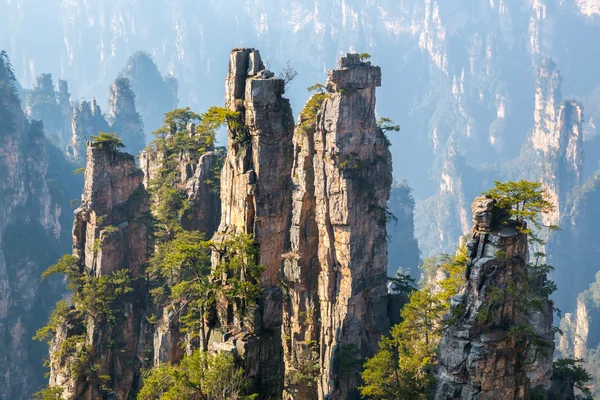Zhangjiajie Parque forestal nacional de China — Foto de Stock