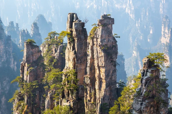 China national forest Zhangjiajie — Zdjęcie stockowe