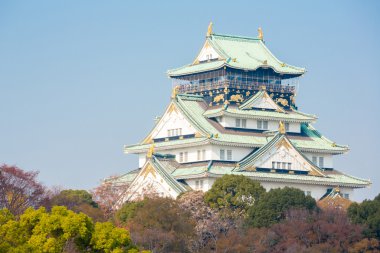 Osaka Kalesi Japonya