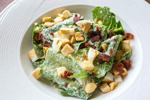 Ceasarsallad — Stockfoto