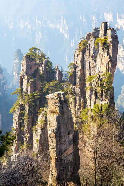 Parque Florestal Nacional Zhangjiajie China — Fotografia de Stock