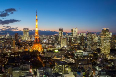 Tokyo Kulesi'nin havadan görünümü