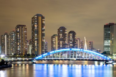 tokyo manzarası
