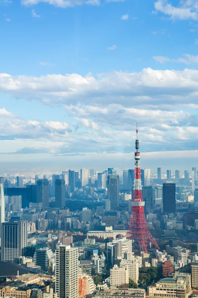 Tokyo tower s Panorama Panorama v Japonsku — Stock fotografie