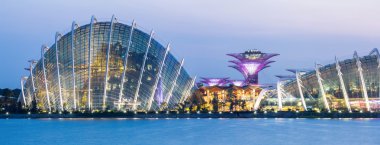 bay tarafından Singapur Bahçe