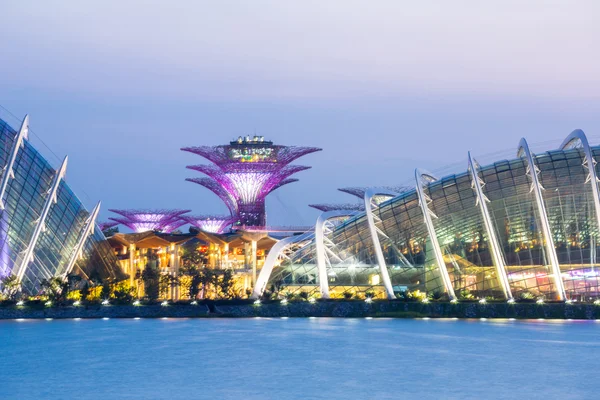 Jardin de Singapour près de la baie — Photo