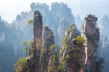 zhangjiajie Ulusal Orman Parkı
