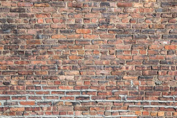 Grunge brick wall — Stock Photo, Image