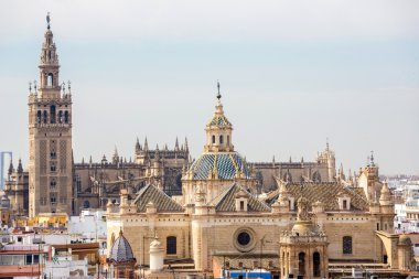 Sevilla Katedrali İspanya
