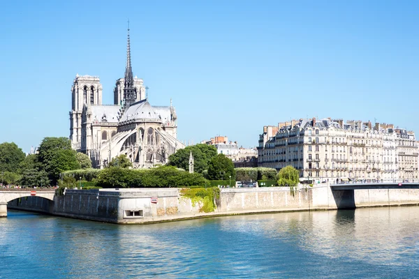 Catedral notre dame Paris —  Fotos de Stock