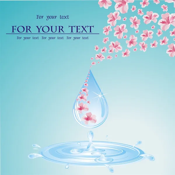 Üzerinde su damlaları olan portakal çiçeği yaprakları.