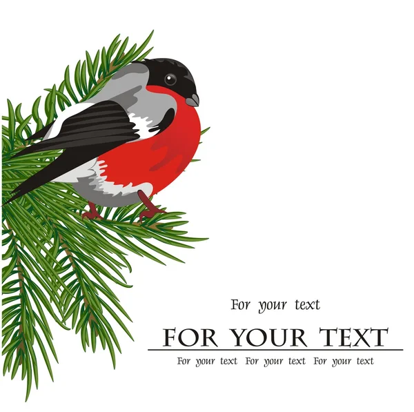 Bullfinch-oiseau d'hiver. Illustration sur fond blanc . — Image vectorielle
