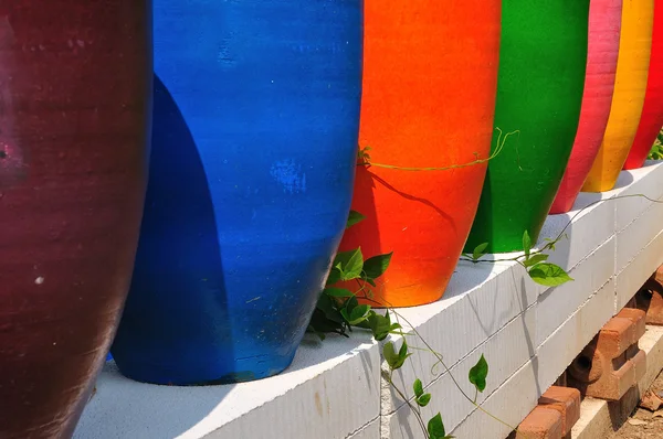 Vaso pieno di colore — Foto Stock