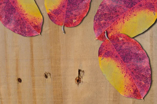 Autumn listowie na stare drewniane — Zdjęcie stockowe