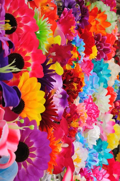 Beautiful colored flowers — Stock Photo, Image