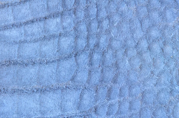 Krokodýlí kůže vzor zadek — Stock fotografie