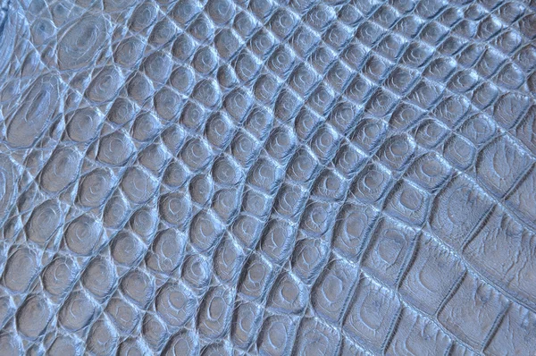 Crocodile skin pattern — Stock Photo, Image