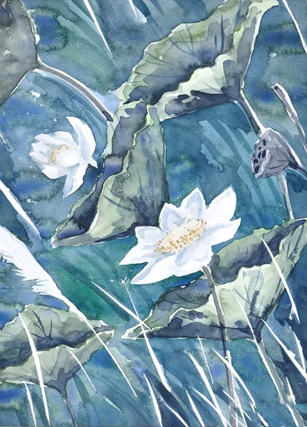 Ein original Aquarell-Gemälde, Lotus — Stockfoto