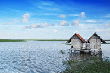 Tayland bataklık siper al