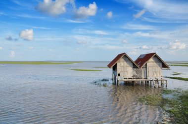 Tayland bataklık siper al